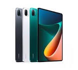 Pad 5