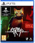 Jeu stray