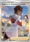 Carte pokemon dresseur capitaine d'equipe candela swsh228