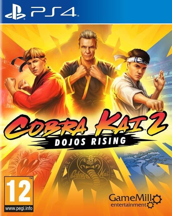Jeu cobra kai 2 : dojos rising