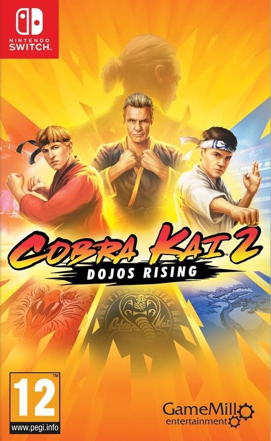Jeu cobra kai 2 : dojos rising