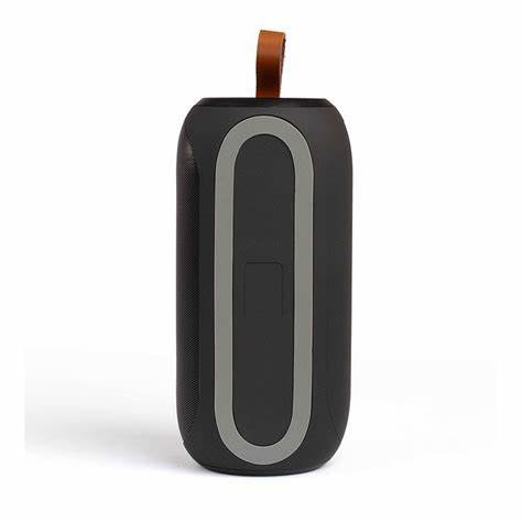 Enceinte bluethoot tes251