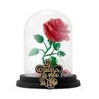 Fig rose enchantee belle & la bete