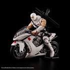 Model kit storm shadow + arashikage cycle