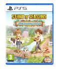 Jeu story of seasons a wonderful life