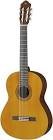 Guitare acoustique c-40