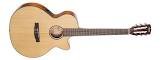 Guitare electro acoustique cec3