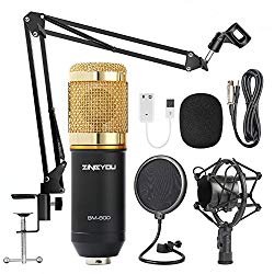 Microphone bm-800