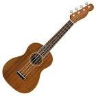 Ukulele zuma