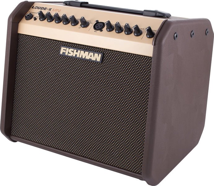 Ampli guitare loudbox mini 60 watts