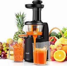 Extracteur de jus sd60f