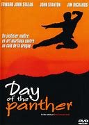 Day of the pantherr