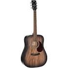 Guitare folk earth60m