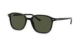 Lunettes rb 2193
