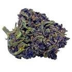 Fleurs de cbd purple haze