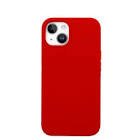 Accessoire telephone pavone iPhone 11 rouge