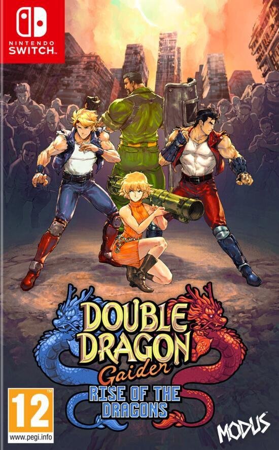 Jeu double dragon gaiden rise of the dragons