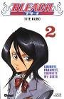 Bleach tome 2