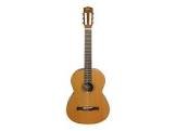 Guitare gcs-101