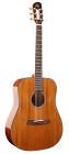 Guitare folk sd200
