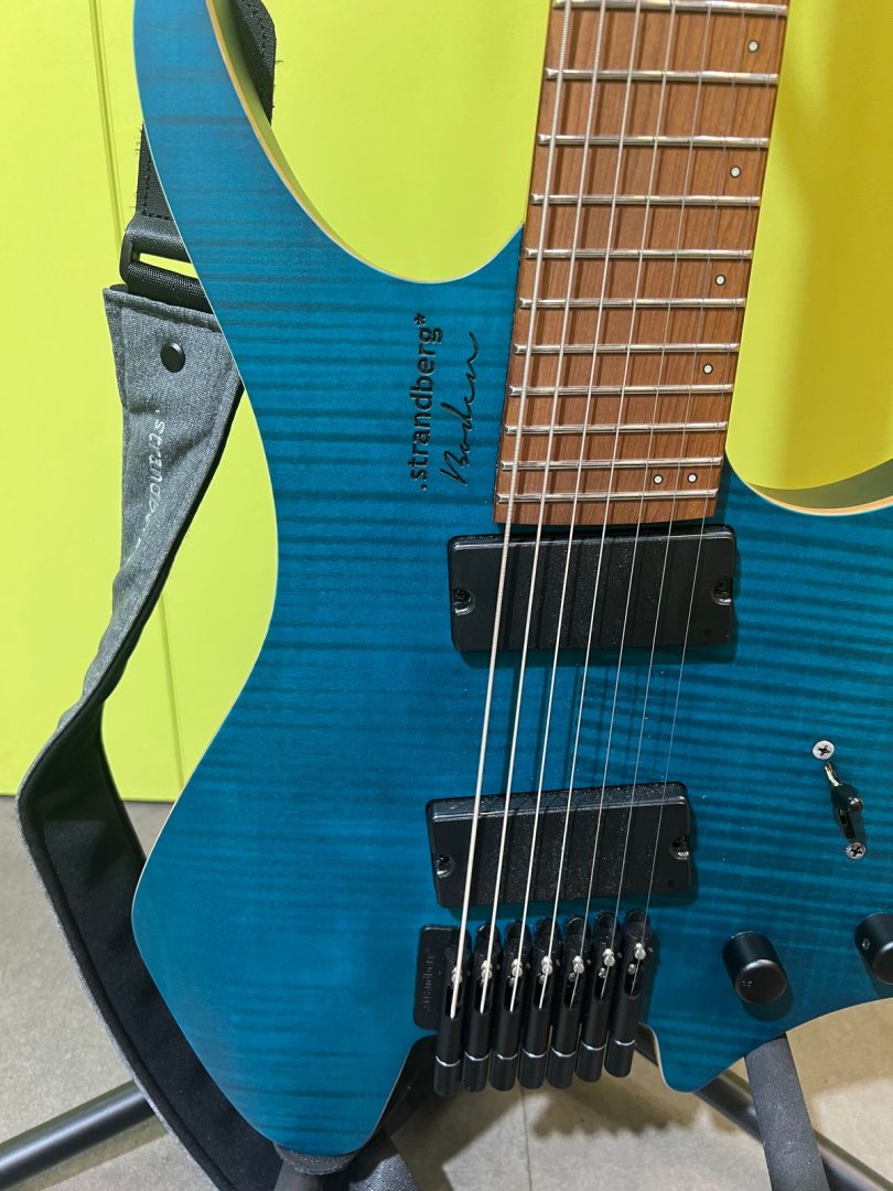 Guitare boden