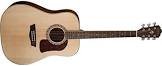 Guitare folk hd10s-0