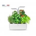 Potager d'interieur smart edition