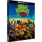 Ninja turtles teenage years