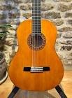 Guitare cg160