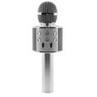 Micro karaoke pm15l