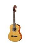 Guitare standard n350