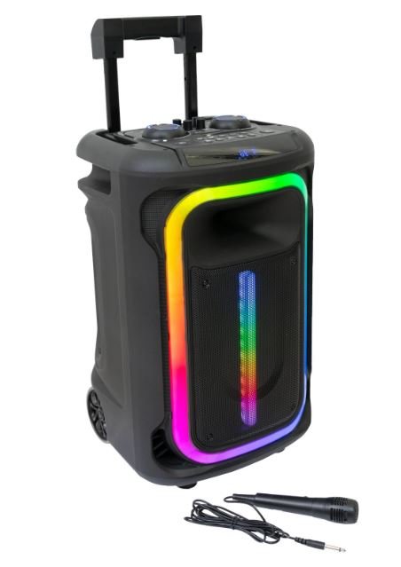 Enceinte 12 autonome bt mobile800