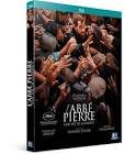 L'abbe pierre