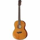 Guitare trans acoustique csf-ta