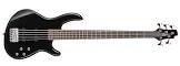 Guitare action bass v