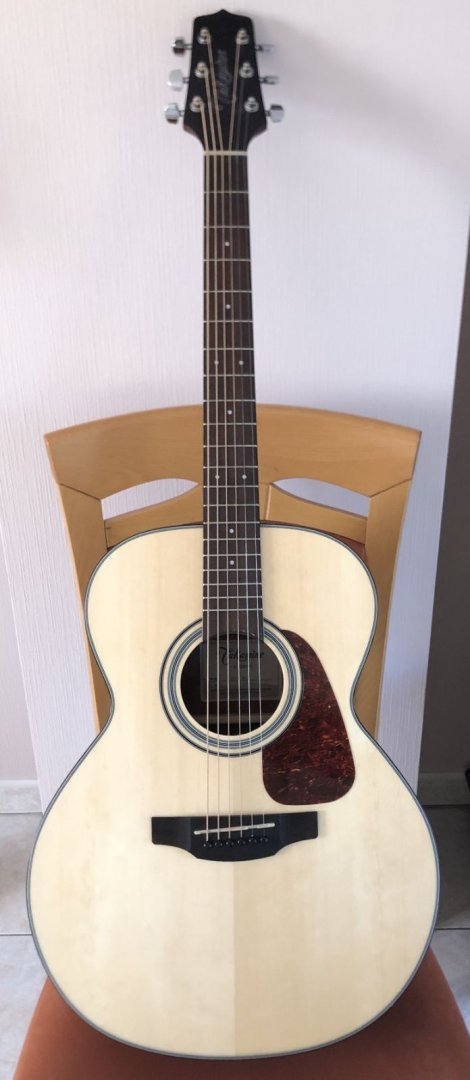 Guitare folk d-80