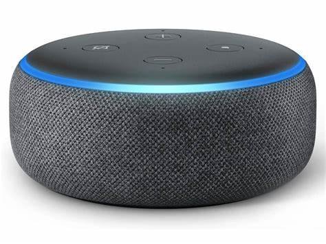 Echo dot alexa