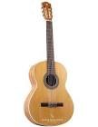 Guitare z-nature