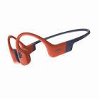 Ecouteurs openswim pro