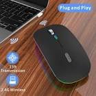 Souris wireless mouse