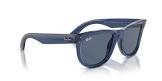 Lunettes rb r0502s