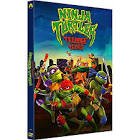 Ninja turtles : teenage years