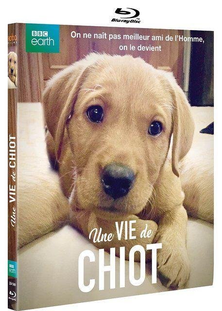 Une vie de chiot (2016) - blu-ray