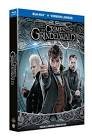 Les animaux fantastiques 2 : les crimes de grindelwald