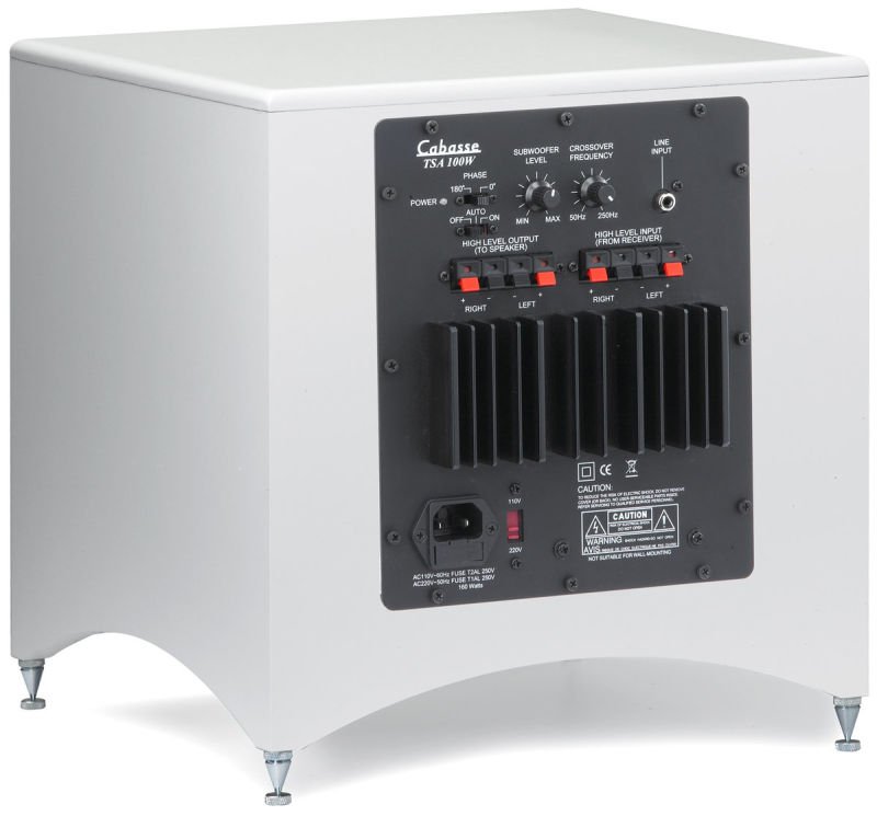 Caisson de basse tsa 250w