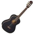 Guitar r221bk 3/4