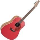 Guitare folk aas-69-r