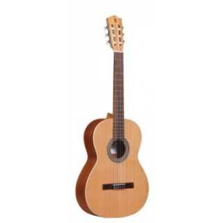 Guitare z nature 4/4