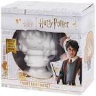 Set peinture harry potter