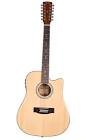 Guitare d-200ce-12nt